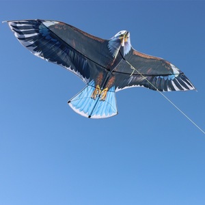 Variété de styles de simulation puissante aigle <span class=keywords><strong>cerf</strong></span>-<span class=keywords><strong>volant</strong></span> <span class=keywords><strong>oiseaux</strong></span> usines chinoises en gros sur mesure pour adultes enfants à voler - Product Image 6