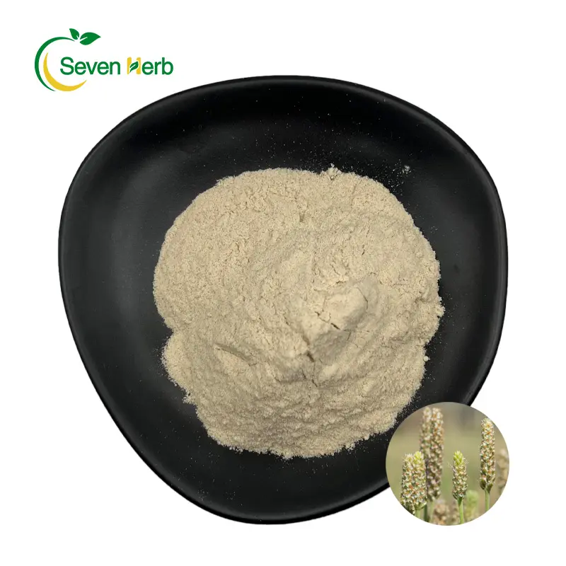 Food Grade Fiber 100% Pure Psyllium Husk Powder Psyllium Seed Husk Powder 97% 98% for Weight Loss