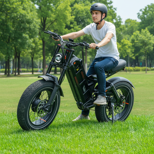 Vélo électrique classique Racer Retro 250W à pneus larges, 7 vitesses, fourche à suspension, certifié CE, en stock aux États-Unis, pour des balades urbaines et rurales palpitantes. - Product Image 1