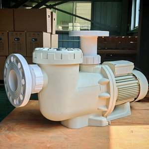 Pompe de filtration pour piscine à interface à bride de haute qualité, résistante aux hautes températures - Product Image 1