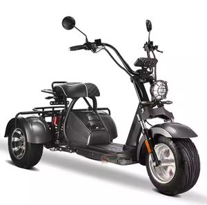 Triciclo <span class=keywords><strong>El</strong></span>éctrico Loyal de 4000W con Doble Motor, GPS, Plegable, Resistente al Agua, Batería de Litio, Alcance de 60-100km, Velocidad Máxima de 50km/h - Product Image 2