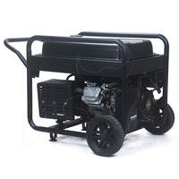 Générateurs d'énergie à essence BISON (CHINE) 10 kW 10000 W A/C 220/380 V 10 kVA 10 kW triphasés