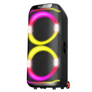 Nouveaux haut-parleurs de fête DJ en plein air, double 10 pouces, média, 100 W, haute puissance, grands haut-parleurs, karaoké - Product Image 4