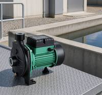 Pompe à eau monophasée 220V à double turbine SCM2 2.2KW 3HP avec moteur à bobines en cuivre, hauteur de refoulement max. 68M pour transfert d'eau propre