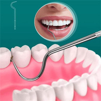 Ensemble de cure-dents en acier inoxydable, outils de nettoyage buccal portables, artefact de soie dentaire en plein air pique-nique Camp cure-dents réutilisable