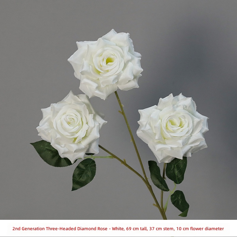 Rose diamant à trois têtes de 2e génération