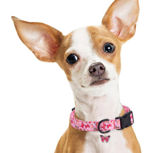 للبيع بالجملة أطواق حيوانات أليفة فاخرة قابلة للتعديل قلادة كلب وقطة بنمط صلب مع دانتيل لزينة أعياد الميلاد وحفلات الزفاف - Product Image 5