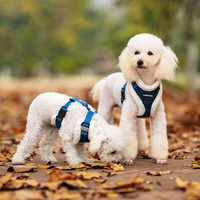 Harnais réglable OEM/ODM en polyester écologique pour chiens et chats, accessoire de luxe pour la promenade, gilet de contrôle facile, Oxford, couleur unie, best-seller