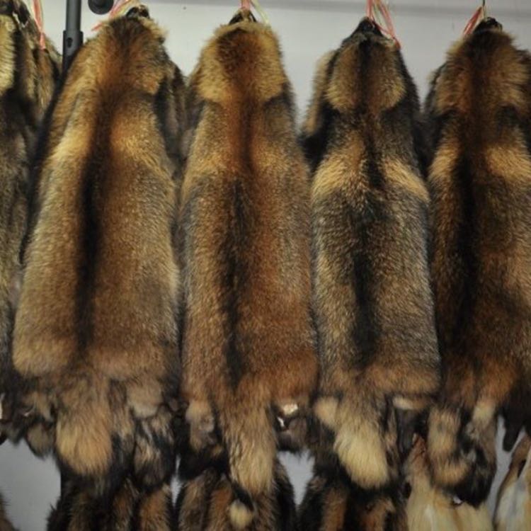 Оптовая продажа с фабрики, Большие меховые шкуры из натурального коричневого или натурального меха енота