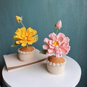 Macetas de Flores Tejidas a Crochet al por Mayor, Hechas a Mano, para Suculentas, Regalos para Boutiques Minoristas - Product Image 2
