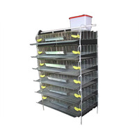 Cages à batterie pour cailles, cages à cailles pour la production d'œufs