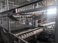 Nouvelle cage à poules pondeuses de type H, conception à faible stress, acier galvanisé inoxydable, garantie 1 an, 3 à 8 niveaux, facile à assembler