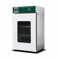 Incubateur thermostaté numérique intelligent PID en acier inoxydable de 52L-250L pour la germination de semences microbiennes, vente en gros OEM