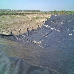 Kết cấu mịn màng geomembrane Maroc Sơn Đông HDPE 2mm geomembrane Pond Liner - Product Image 5