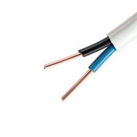 Kabel Listrik BVVB 2-Core 3-Core Tembaga Padat Bebas Oksigen dengan Isolasi PVC Fleksibel ROHS untuk Kabel Jumper 300/500V