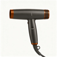 Sèche-cheveux professionnel ionique haute vitesse 2000W avec moteur BLDC, séchage rapide, cordon de 3,5m pour salon de coiffure, vente en gros