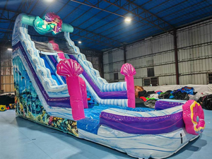 <span class=keywords><strong>30</strong></span> ft trẻ em Aqua công viên nước <span class=keywords><strong>Slide</strong></span> ngoài trời <span class=keywords><strong>bouncy</strong></span> nhà <span class=keywords><strong>Inflatable</strong></span> trượt nước sân chơi trượt nước <span class=keywords><strong>Inflatable</strong></span> trượt nước - Product Image 3