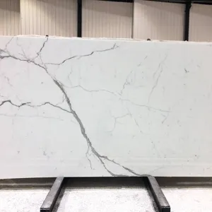 TMZ OEM/ODM Marmol vendita calda wallboard e lastra per piastrelle per pavimenti lastra di marmo bianco calacatta naturale per la decorazione domestica
