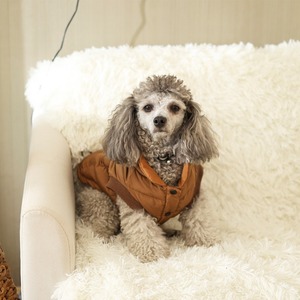 Chaqueta <span class=keywords><strong>de</strong></span> <span class=keywords><strong>invierno</strong></span> para perros pequeños, medianos y grandes, con cuello, <span class=keywords><strong>ropa</strong></span> cálida, novedad <span class=keywords><strong>de</strong></span> <span class=keywords><strong>2022</strong></span> - Product Image 4