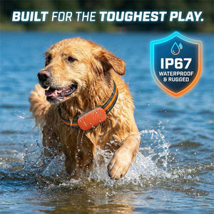 Collar GPS Mini Impermeable para Mascotas, Dispositivo de Rastreo, Sistema de Cerca Inalámbrica para Perros y Gatos, Venta Caliente de Fábrica - Product Image 4