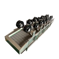 ANXU Automatische 380V 15KW Friteuse Warmtewisselaar voor Groenten, Fruit en Snoepverwerkingsmachine (Hoge capaciteit: 100-300 sets/jaar)