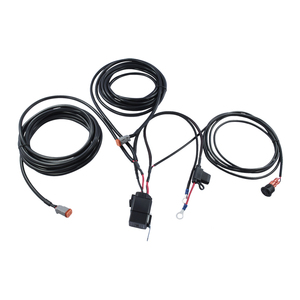 Pabrik disesuaikan 2 Pin konektor otomotif & PBT kabel terisolasi untuk profesional lampu otomatis Harness kabel (24V/12V) - Product Image 1