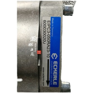 Pompe à engrenages allemande Eikler EIPC6-125RA23-10 EIPH6-125RX23-10/11 pour machine de moulage par injection - Product Image 4