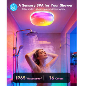 Lumière de <span class=keywords><strong>douche</strong></span> LED rechargeable étanche <span class=keywords><strong>IP65</strong></span> avec contrôle tactile RMT+ et gradation CCT3 RGBW, 16 couleurs, fixation magnétique, pour spa - Product Image 2