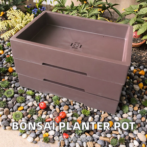 Macetas de <span class=keywords><strong>entrenamiento</strong></span> de bonsái poco profundas rectangulares minimalistas de 13,38 pulgadas, <span class=keywords><strong>maceta</strong></span> de plástico para cactus, <span class=keywords><strong>maceta</strong></span> para árbol, <span class=keywords><strong>maceta</strong></span> para bonsái, rectángulo de 34cm - Product Image 2