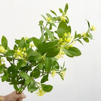 Dedaunan Tanaman Buatan, Daun Buah Peri Islandia, Daun Eucalyptus, Pembuatan Lanskap Tanaman Evergreen Nordik
