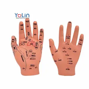 Tcm mô hình giảng dạy chính xác huyệt giảng dạy tay mô hình kỷ luật massage châm cứu đào tạo tay mô hình hình ảnh vật liệu PVC