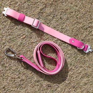 ล่าสุดปกปรับได้ที่กําหนดเองทนทานโลหะหัวเข็มขัดการฝึกอบรมกลางแจ้งเชือกรื่นตะกั่ว <span class=keywords><strong>flexi</strong></span> สายจูง PVC สายจูงสุนัขชุดเทป - Product Image 3