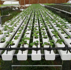 Cultivation hors-sol agricole, culture de laitue, plantation verticale, tuyaux de plantation, pots en filet, culture hydroponique, canal en <span class=keywords><strong>PVC</strong></span> - Product Image 3