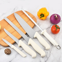 Ensemble de 5 couteaux de cuisine en acier inoxydable Tc, comprenant un couteau de chef, un couteau à viande, un couteau à légumes, un couteau à fruits, un éplucheur et un aiguiseur