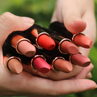 Rouge à lèvres Vegan avec votre propre Logo, bio, mat de bonne qualité, quantité minimale de commande, hydratant