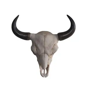 carved buffalo skull with Custom Online Customization - Alibaba.com