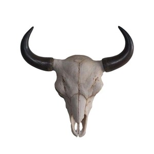 Sculpture d'animal créative 3D personnalisée, Crâne <span class=keywords><strong>de</strong></span> buffle à longues cornes en résine sculptée, Figurines, artisanat, ornements - Product Image 6