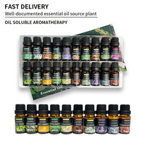 Ensemble d'huiles aromatiques solubles dans l'huile, 100% naturelles, à base de plantes, 10 ml, kit de parfums, extraits de plantes directement de l'usine
