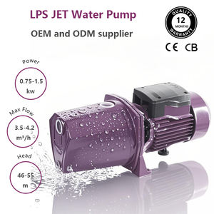 <span class=keywords><strong>Pompe</strong></span> à eau <span class=keywords><strong>Venturi</strong></span> monophasée 1HP auto-amorçante pour l'irrigation de jardin - Product Image 2