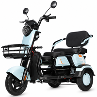 Tricycle Électrique 3 Roues 1000W d'Usine OEM, Scooter de Loisirs Robuste 200KG, Triple Frein, 3 Passagers, Carrosserie Ouverte, CE