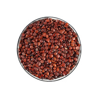 Graines de datte séchées en vrac, saveur douce et amère, antioxydant, apaise l'irritabilité nocturne, soutient le sommeil, tisane personnalisée