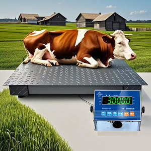 Anpassbare SCS Industrielle Elektronische Bodenwaage 1-3 Tonnen Tier- und Viehwaage mit LCD/LED-Anzeige <span class=keywords><strong>RS232</strong></span> OEM/ODM - Product Image 3