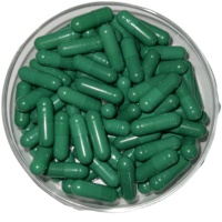 GMP Usine 100% veg veggie veggie vegan vegan vegan vegetarian HPMC Capsules blanches vides pour légumes