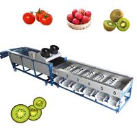 Meest Populaire Droge Fruitreinigingsmachine 30 Kg Borstelspray Fruitreinigingsmachine Reinigingsmachine Fruitwasmachine