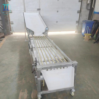 Sorteermachines En Sorteermachines Voor Groenten En Fruit, Producten Voor De Grootte, Sorteermachine Voor Fruit En Sortering