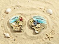 Aimant de réfrigérateur en résine coquille de palourde, souvenir de plage de Majorque, décoration de maison, cadeau de vacances, vente en gros