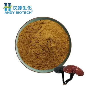 El mejor suplemento Extracto de hongo Lingzhi rojo en polvo 10% Extracto de Reishi