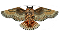 Cerf-volant effaroucheur d'oiseaux Flying Hawk, répulsif d'oiseaux simulé en forme d'aigle, dispositif de dissuasion des oiseaux à énergie éolienne pour la protection des cultures agricoles et des jardins