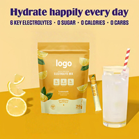 WELLBODY OEM Marque Privée Poudre d'Électrolytes Sans Sucre pour la Force Musculaire et l'Énergie Supplément d'Hydratation Naturelle