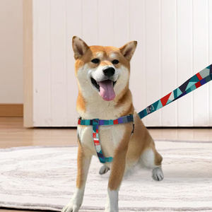 Correa de perro de nailon Arnés de moda colorido para perros pequeños y medianos Gancho de metal Cinta para gatos Juego de correa para mascotas - Product Image 3